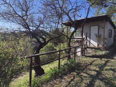 Grundstück kaufen in 2103 Langenzersdorf (Bild 4)