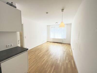 Mietwohnung in 1230 Wien (Bild 2)