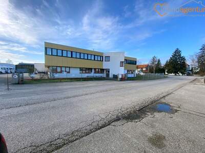 Gewerbeobjekt mieten in 4614 Marchtrenk (Bild 3)