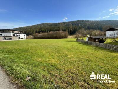 Grundstück kaufen in 5350 Strobl (Bild 3)