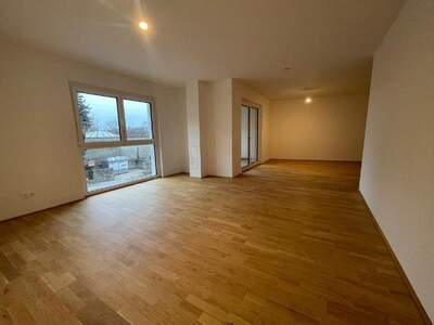 Wohnung mieten in 2410 Hainburg (Bild 5)