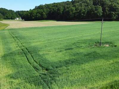 Grundstück kaufen in 5133 Gilgenberg