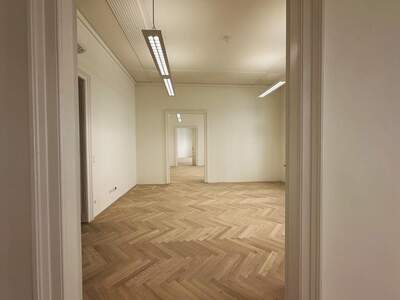 Gewerbeobjekt mieten in 1010 Wien (Bild 5)