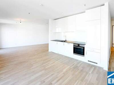 Terrassenwohnung mieten in 1100 Wien (Bild 2)