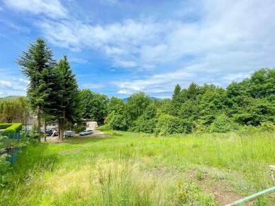 Grundstück kaufen in 9872 Matzelsdorf