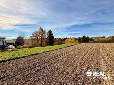 Grundstück kaufen in 4040 Lichtenberg (Bild 4)
