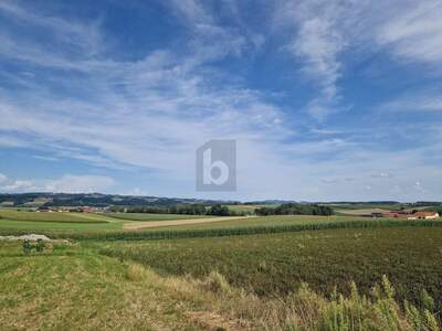 Grundstück kaufen in 4733 Heiligenberg (Bild 1)