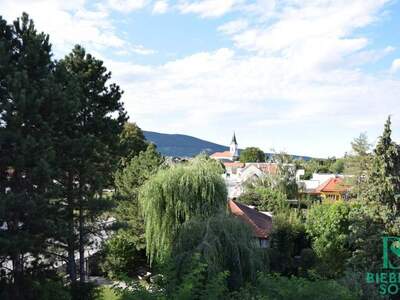 Haus kaufen in 2514 Traiskirchen