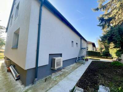 Haus kaufen in 2604 Theresienfeld