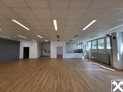 Gewerbeobjekt mieten in 4050 Traun (Bild 3)