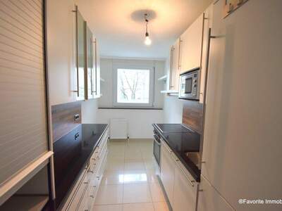 Terrassenwohnung kaufen in 1100 Wien (Bild 4)