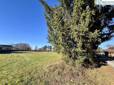 Grundstück kaufen in 7571 Rudersdorf (Bild 2)