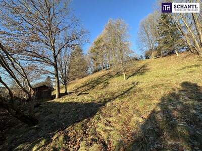 Grundstück kaufen in 8072 Fernitz (Bild 3)