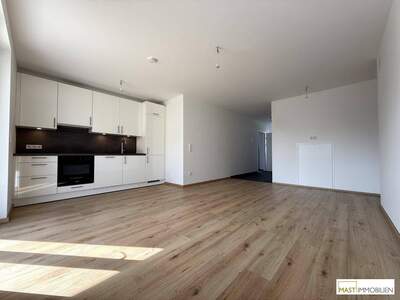 Mietwohnung in 2020 Hollabrunn