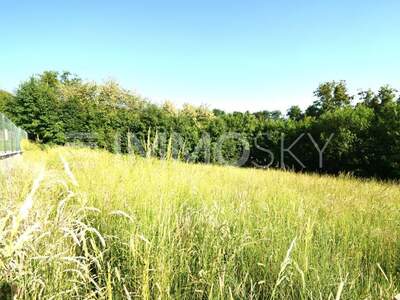 Grundstück kaufen in 4224 Wartberg (Bild 2)