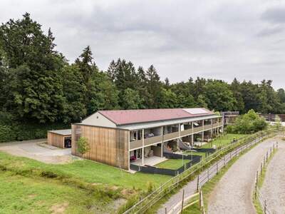 Wohnung mieten in 8502 Lannach (Bild 5)