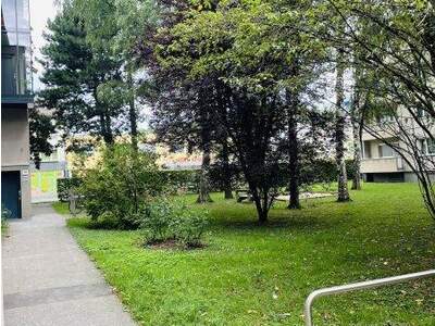 Terrassenwohnung mieten in 4020 Linz (Bild 2)