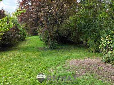Grundstück kaufen in 2103 Langenzersdorf (Bild 2)