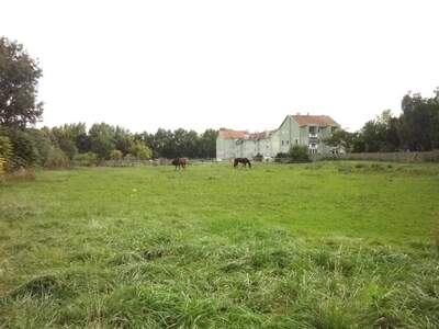 Grundstück kaufen in 7122 Gols