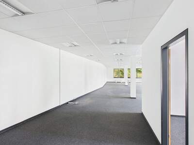Gewerbeobjekt mieten in 4020 Linz (Bild 3)