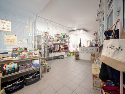 Büro / Praxis mieten in 4690 Schwanenstadt (Bild 2)