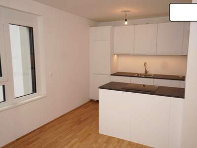 Terrassenwohnung mieten in 1160 Wien (Bild 2)