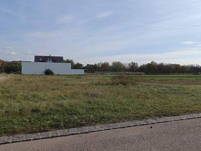 Grundstück provisionsfrei kaufen in 7141 Podersdorf