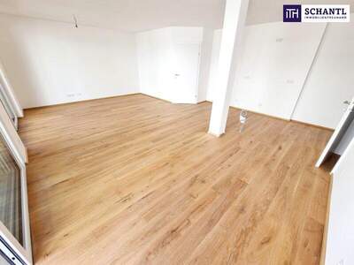 Terrassenwohnung kaufen in 1230 Wien (Bild 4)