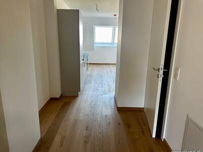 Wohnung mieten in 1130 Wien (Bild 4)