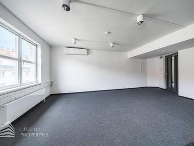 Gewerbeobjekt mieten in 1010 Wien (Bild 5)