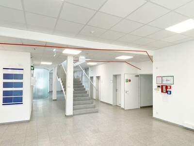 Gewerbeobjekt mieten in 4614 Marchtrenk (Bild 2)