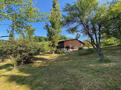 Gewerbeobjekt kaufen in 8462 Leutschach (Bild 5)