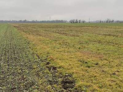 Grundstück provisionsfrei kaufen in 2325 Himberg