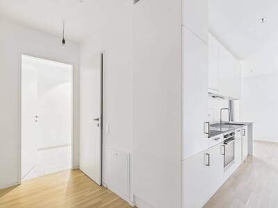 Wohnung mieten in 1100 Wien