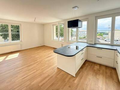 Wohnung mieten in 2410 Hainburg
