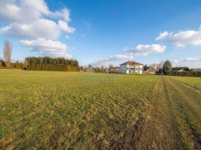 Grundstück kaufen in 8430 Leibnitz