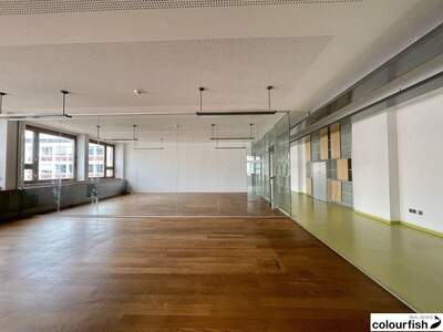 Gewerbeobjekt mieten in 1010 Wien (Bild 3)