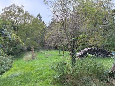 Grundstück kaufen in 2371 Hinterbrühl (Bild 4)