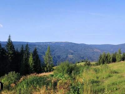 Grundstück kaufen in 8742 Obdach