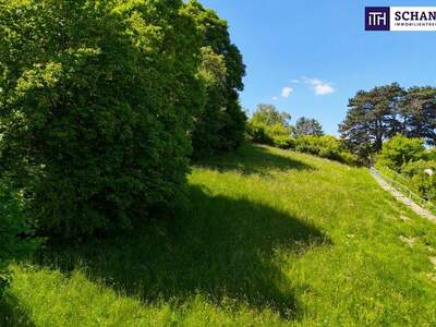 Grundstück kaufen in 3400 Klosterneuburg (Bild 2)