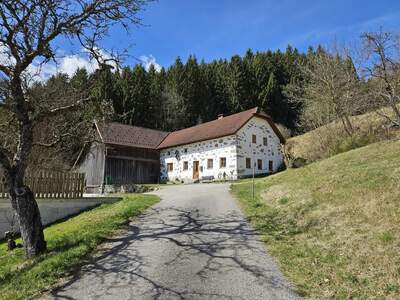 Haus kaufen in 4272 Nadelbach
