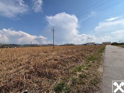 Grundstück kaufen in 4782 Sankt Florian (Bild 4)