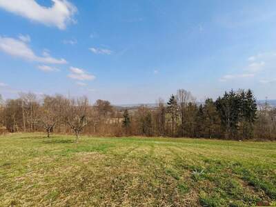 Grundstück kaufen in 7540 Güssing (Bild 3)