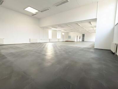 Einzelhandel mieten in 3681 Hofamt Priel (Bild 4)