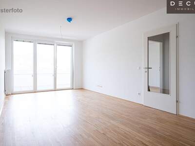 Apartment provisionsfrei mieten in 8054 Steiermark
