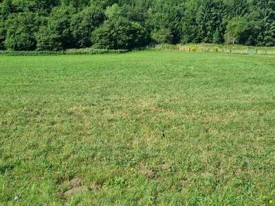 Grundstück kaufen in 9560 Adriach (Bild 1)