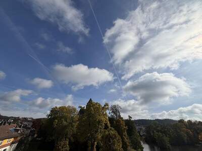 Terrassenwohnung mieten in 3860 Heidenreichstein (Bild 3)