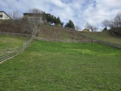 Grundstück kaufen in 8224 Hofkirchen (Bild 3)