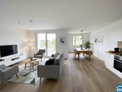 Wohnung mieten in 3451 Pixendorf