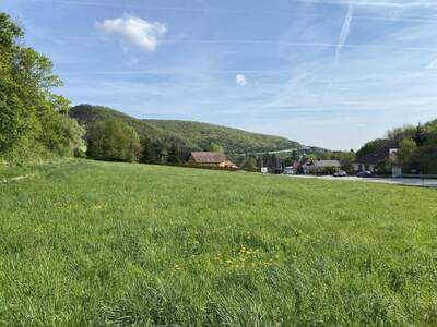 Grundstück kaufen in 2371 Weissenbach